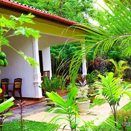 Priyavimana Resort Habarana Extérieur photo