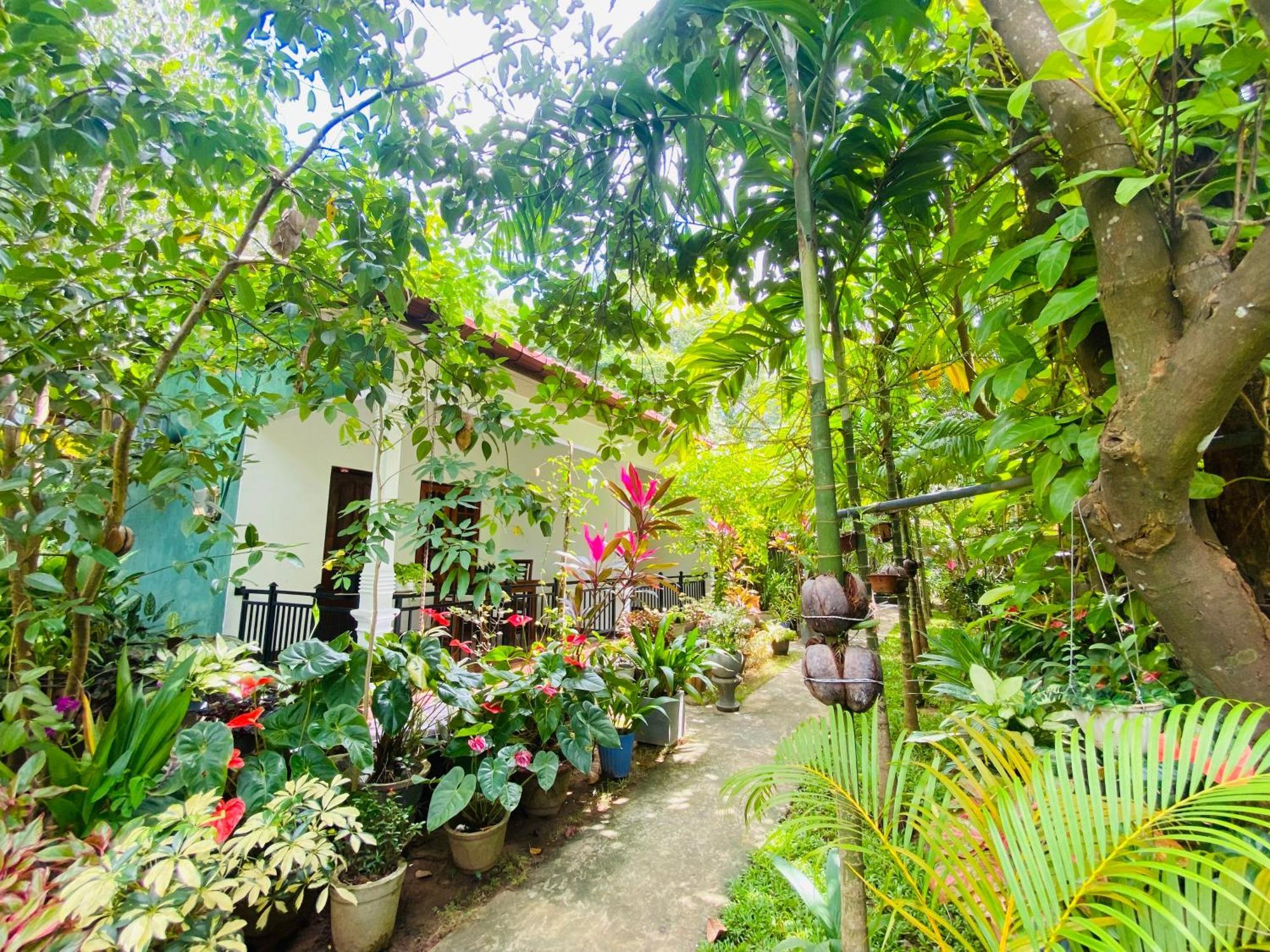 Priyavimana Resort Habarana Extérieur photo