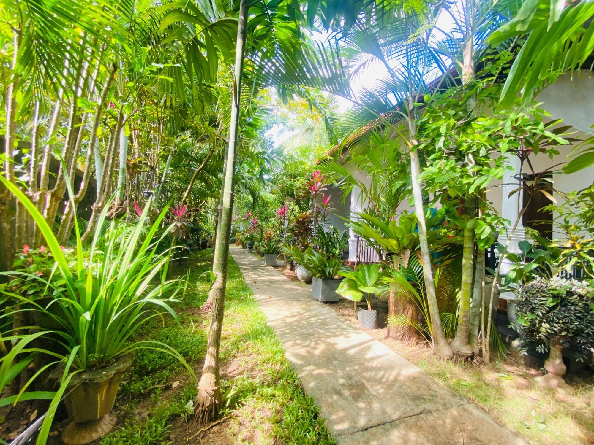 Priyavimana Resort Habarana Extérieur photo