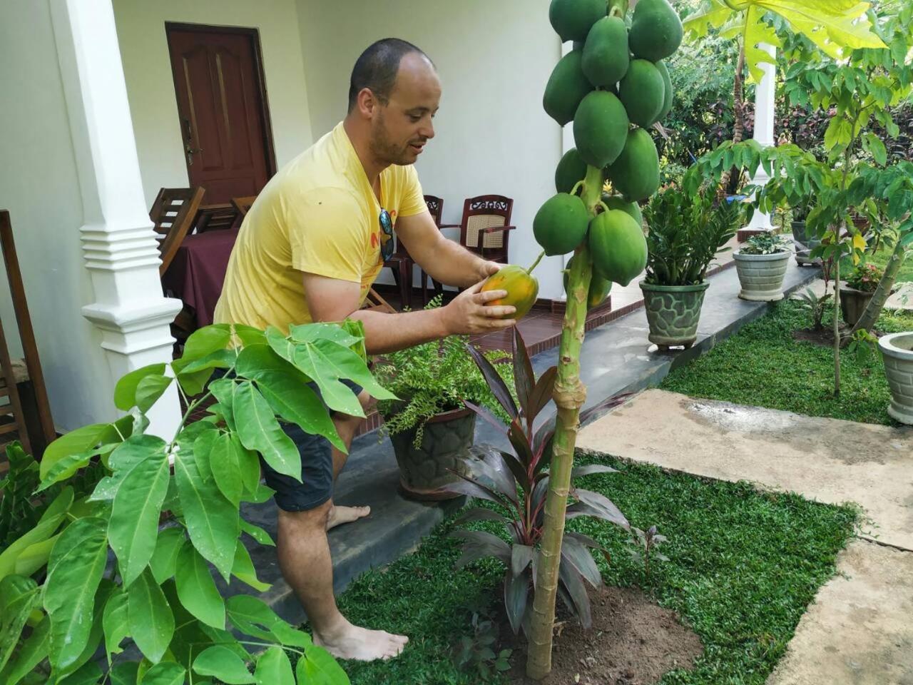 Priyavimana Resort Habarana Extérieur photo