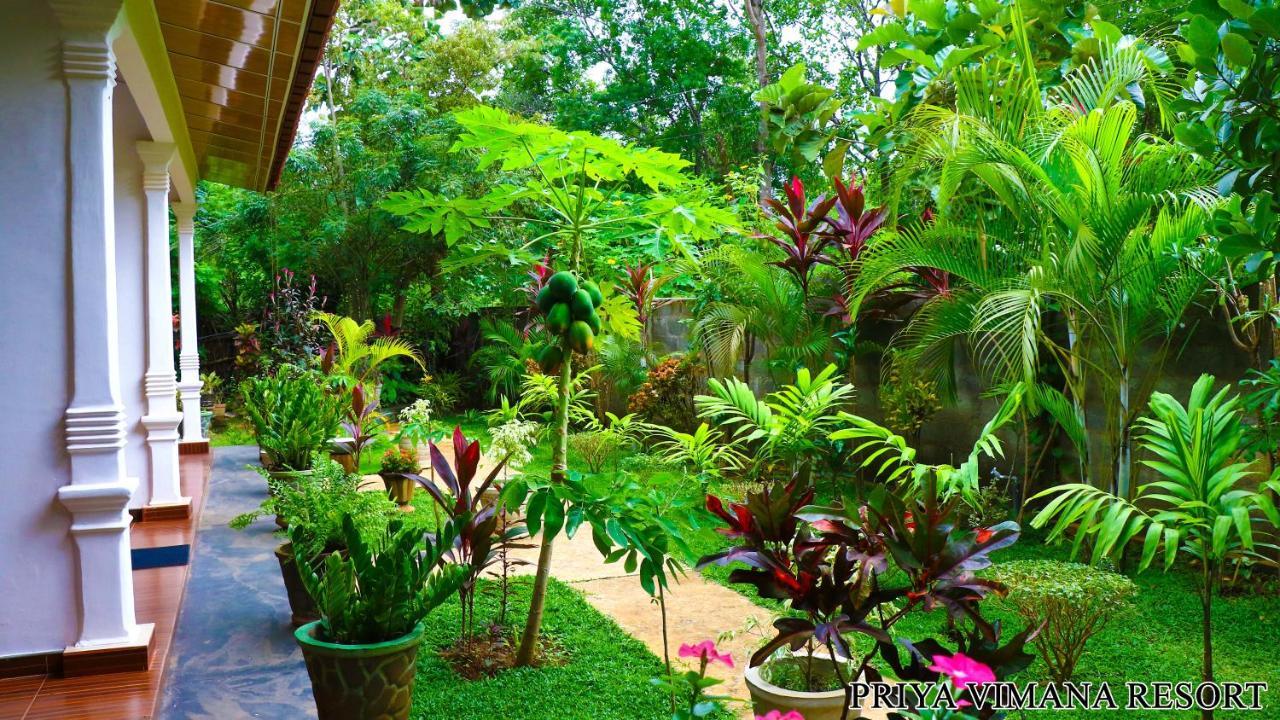 Priyavimana Resort Habarana Extérieur photo