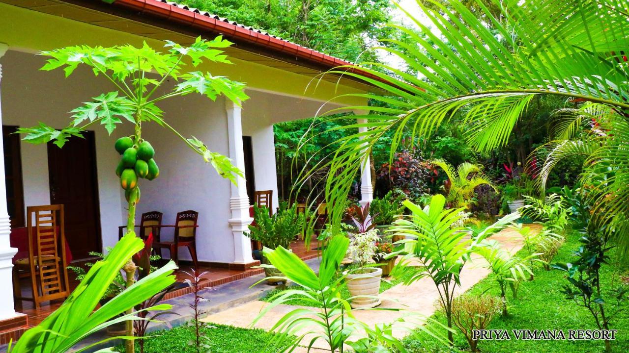 Priyavimana Resort Habarana Extérieur photo